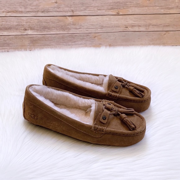 UGG Shoes - UGG Litney Chestnut Slipper For Outdoor/Indoor Use